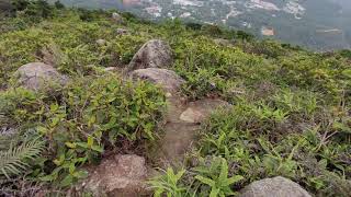 Nei Lak Shan descents to Ngong Ping | Peakmaster HongKong1