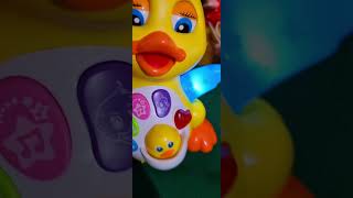 Best cute duck #entertaining #asmr #viralshort #youtubeshorts #howto