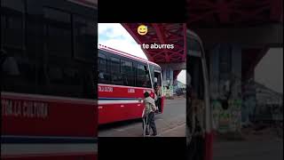 Llama subiendo a bus en Perú