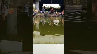 PM rezza tirta jaya mancing full ikan nilla#mancingmania#fishing#nilla#pemula#like#subscribe