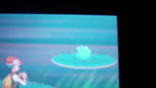 SHINY DITTO!!!