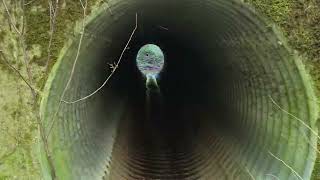 Through the culvert under the road.