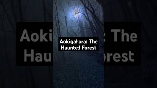 Aokigahara Forest: The Haunted Mystery