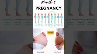 6 महीने के गर्भ में शिशु का विकास | 6 month baby growth and development pregnancy #pregnancy #baby