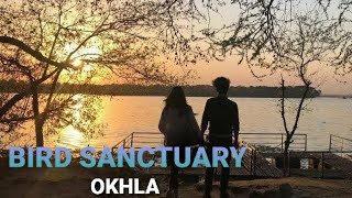 Okhla Bird Sanctuary | Okhla Bird Sanctuary for Couples | Okhla Bird Sanctuary Delhi 2022