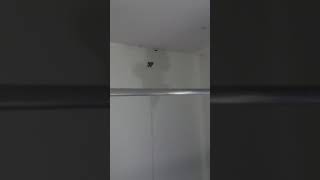 Infiltração em apartamento do Residencial Fidélis - Minha Casa Minha Vida