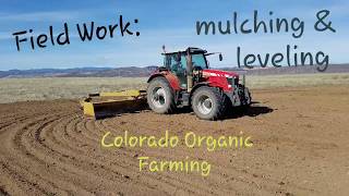 Organic Farming: Field Prep with Massey Ferguson 6600 (Mulching and Leveling)