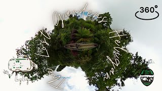 Wirtualna wycieczka po The Lost Gardens Heligan 360 VR