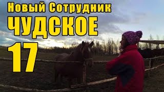 Чудское 17 - Новый Сотрудник