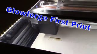 Glowforge Laser Printer First Print