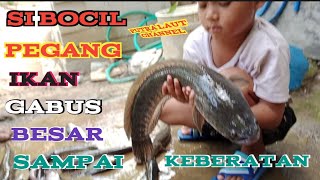 Si bocil megang ikan gabus diangkat sampai keberatan