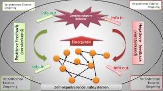 Emergentie in grotere systeem van interim-management.