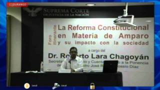 La reforma constitucional en materia de amparo 13