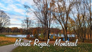 Mount Royal, Montreal | Early morning visit | Canada Travel Vlog