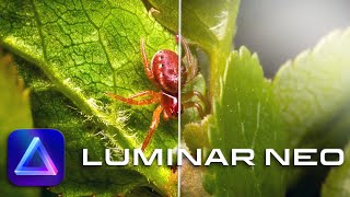 How I saved a photo with Luminar NEO