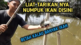 tangkul traditional fishing || Branjang Ikan || Hancau Ikan || Nets fishing