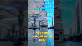 Ada yang kangen?