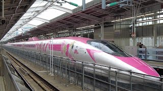 Watching Japanese Unique Bullet Trains in Osaka (Shinkansen)