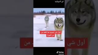 اول شي تسويه لما تكعد من النوم