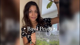 Basil pesto || Pesto de Albahaca