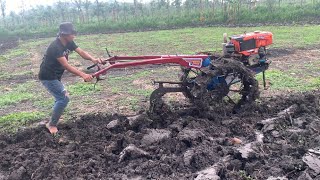 BARU BELAJAR MEMBAJAK SAWAH HUJAN UDAH MULAI TURUN