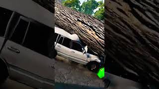 Cars vs treetrunk