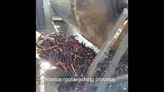 Licorice root production process Sapro.az