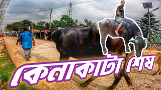 কোরবানি ২০২৪ ব্যাচের একমাত্র মহিষ কিনলাম || Purbasha Agro