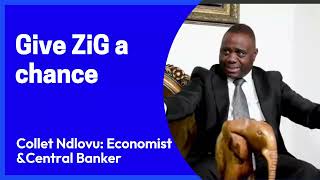 An award-winning Economist and Central Banker says -support the ZiG currency.