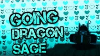 I BECOME dragon SAGE day 3 (Rogue lineage)