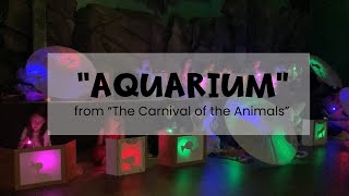 Aquarium from "The Carnival of the Animals" by Camille Saint-Saens. Shadow activity.