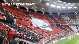 Dinamo Bucharest vs CFR Cluj 17.05.2016 Coreo