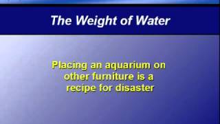 Water Tip 9 - The weight of water