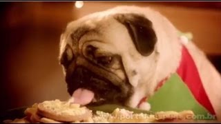 TVP2 - "Natal 2012" - Comercial de TV - Propaganda com Pug