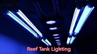 Reef Tank Lighting