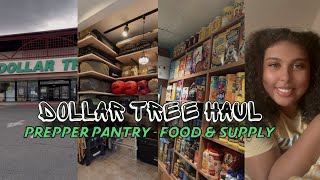 TOP PREPS TO BUY AT DOLLAR TREE | BEGINNER PREPPER IDEAS AT THE #dollartree #preppinghaul