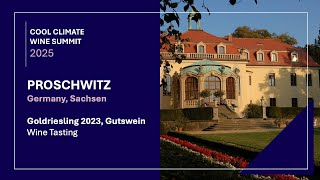 VDP Schloß Proschwitz Goldriesling 2023 - Wine Review - A rare white wine from Saxony