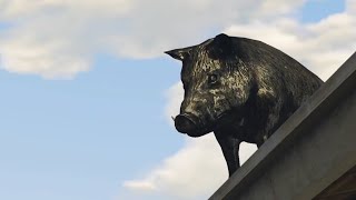 PIG ON THE ROOF!! Hilarious GTA5 spirit animal peyote plant hunt with @marksherwin007 [PC]