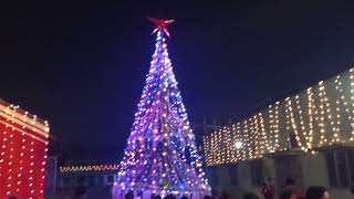 Merry Christmas/Purulia