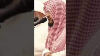 بترتيل خاشع من ليالي رمضان للقارئ - ماجد الحازمي