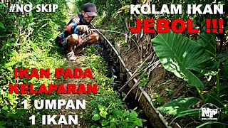 REJEKI...MANCING IKAN PAS RAKUS-RAKUSNYA...AUTO PANEN #microfishing #mancingnila #mancingdiselokan