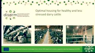 Optimal housing for healthy and less stressed dairy cattle