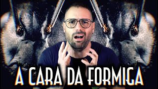 A cara da formiga - Emerson Martins Video Blog 2023