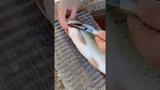 Conheça o escamador de peixe 3 em 1