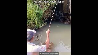 Mancing Liar..Ada Air Ada Ikan / If there's water, there's bound to be fish #Shorts