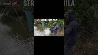 SLALU ADA KEJUTAN STRIKE TANGKUL MANIA