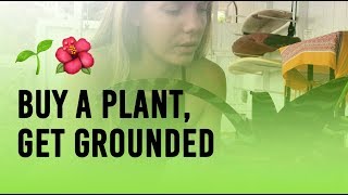 GROUNDING PLANTS