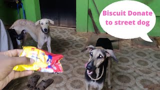 biscuit donate to street dog | #dogs #dog #doglover #doglovers #donate #dogadoption #streetdog #pets