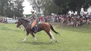 🔸COWBOY SHOW 🔸Chornice 20.7.2019