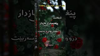 کێ لە ئێمە خۆشەویستی ناکات؟